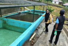 Dinas Perikanan OKU Selatan Kembali Monitoring ke BBI Warkuk Ranau Selatan