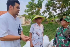 Bulog dan TNI Kawal Panen Petani Bekasi