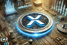 burn rate xrp turun 2% meski harga menguat, ada apa?