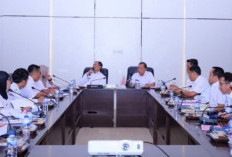 Temui Bupati Abusama, PPPK Paruh Waktu Sampaikan Aspirasi Soal Status dan Kesejahteraan