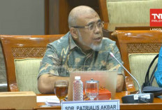Eks Hakim MK: Putusan Pemilu Terpisah Langgar UUD 1945