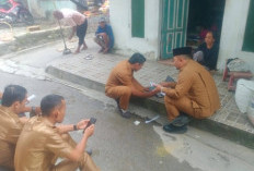 Pemerintah Kelurahan Pasar Muaradua Lakukan Pendataan Warga Layak Bantuan Lewat SIKS-NG