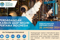 Atasi Perubahan Iklim, Indonesia Mulai Perdagangan Karbon Internasional 