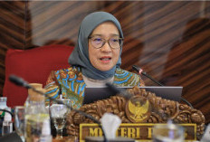 UU ASN 2023 Berlaku, MenPAN RB Hapus Status Honorer 2025