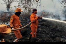 Titik Panas di Sumsel Melonjak Jadi 117 Titik, Ancaman Karhutla Meningkat Jelang Puncak Kemarau