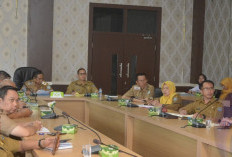 OKU Selatan Susun Skema TPP 2026, Fokus Kinerja ASN dan Rekomendasi BPK