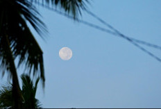 Fenomena Blue Moon Hiasi Langit Indonesia, Warga Bisa Saksikan dengan Mata Telanjang