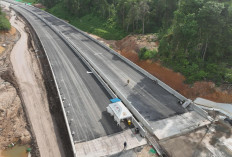 PT Waskita Kebut Proyek Jalan Tol IKN Segmen 5A