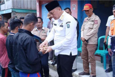 Wakil Bupati OKU Selatan Tinjau Lokasi Kebakaran di Sindang Danau