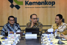 Dana desa akan jadi jaminan kredit Koperasi Desa Merah Putih