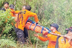 Evakuasi Dramatis, Jenazah Pendaki Bengkulu Diturunkan dari Gunung Dempo