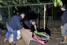 Polres OKU Selatan Bongkar Gelanggang Sabung Ayam di Desa Madura