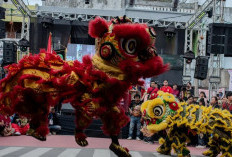 Atraksi Barongsai di Indonesia, Harmoni Budaya hingga Prestasi Internasional