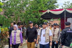 KPU Pastikan 8 Daerah Tanpa Gugatan MK Umumkan Hasil Pilkada Lebih Awal