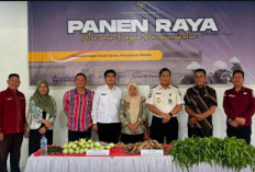 Dukung Program Nasional, Warga Binaan Lapas Muaradua Gelar Panen Raya Ketahanan Pangan