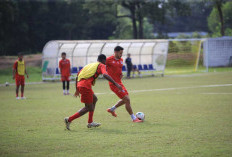 Sumsel United FC Fokus Taktik Jelang Kick Off Liga 2 2025/2026