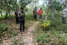 Warga Tekana Harapkan Sinyal 