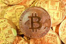 Bitcoin Kembali Jadi Sorotan, Volatilitas Tinggi Warnai Pergerakan Harga