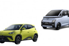 Head to Head Dimensi: BYD Atto 1 vs Wuling Air ev, Siapa Lebih Unggul?