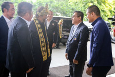 HM Toha Pimpin DPD NasDem Muba, Pelantikan Dijadwalkan Agustus
