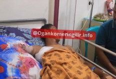 Tangan Warga Sungai Menang OKI Putus Digigit Buaya