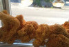 Resep Ayam Kentucky Renyah dan Gurih, Cocok untuk Menu Keluarga