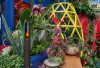 Uji Kamera di Chelsea Flower Show: Pixel Tertinggal, Galaxy S25 Ultra Tampil Mencolok