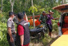 Lansia 76 Tahun Ditemukan Tewas di Kebun Karet, Sempat Hilang 3 Hari
