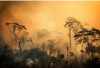 Kabut Asap Kebakaran Hutan Sumatra Capai Wilayah Malaysia