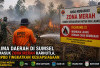 Lima Daerah di Sumsel Masuk Zona Merah Karhutla, BPBD Tingkatkan Kesiapsiagaan