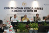 Anggota DPR soroti peredaran gula rafinasi di pasar konsumsi