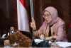 Dihapus 2025, Nasib Honorer Diselamatkan Lewat Skema Baru dari MenPAN RB