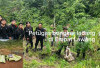 Polda Sumsel Bongkar Ladang Ganja 20 Hektar di Empat Lawang, 220 Kg Barang Bukti Diamankan