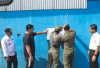 Belum Kantongi Izin, Gudang Pakan di Banyuasin Disegel 