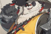 Panduan Build Pan Yinhu – Zenless Zone Zero