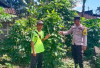 Wujudkan Ketahanan Pangan, Polsek Kisam Tinggi Dorong Budidaya Sayur