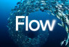 Google Umumkan Flow, AI yang Bisa Bikin Video Sinematik