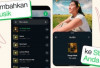 WhatsApp sediakan fitur musik untuk 