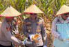 Polres OKU Selatan Panen Raya Jagung Serentak Dukung Ketahanan Pangan Nasional