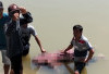 Korban Hanyut di Sungai Komering Ditemukan Meninggal Dunia di Talang Surau