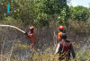 1 Hektare Lahan Terbakar di Kabupaten Ogan Ilir