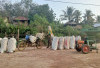 Harga Kopi Tembus Rp54 Ribu per Kg, Petani Buay Pemaca Antusias Giling Hasil Panen