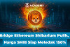 Bridge Ethereum Shibarium Pulih, Harga SHIB Diprediksi Siap Meledak 150%