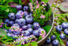 10 Buah yang Ternyata Tak Sehat dan 10 Superfood yang Wajib Masuk Menu Harian