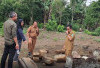 Pemugaran Candi Jepara Dimulai! Dinas Pariwisata Pantau Langsung