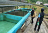 Dinas Perikanan OKU Selatan Monitoring ke BBI Warkuk Ranau Selatan