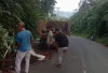 DLH OKUS dan Masyarakat Sapu Bersih Sampah Liar di Simpang Jambu