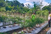 Dukung Ketahanan Pangan, Personel Polsek Kisting Bantu Warga Merawat Kebun Cabai