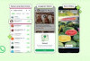 WhatsApp akan tampilkan iklan di Status