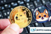 Dogecoin (DOGE) Melonjak ke US$ 0,40, Potensi Kenaikan Luar Biasa Menuju US$ 3!